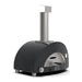 ALFA Moderno 1 Pizza outdoor gas pizza oven in Anthracite Grey with modern outdoor pizza oven with a matte grey dome-shaped body, a silver stainless steel chimney stack, and a silver front door, shown on a plain white background.