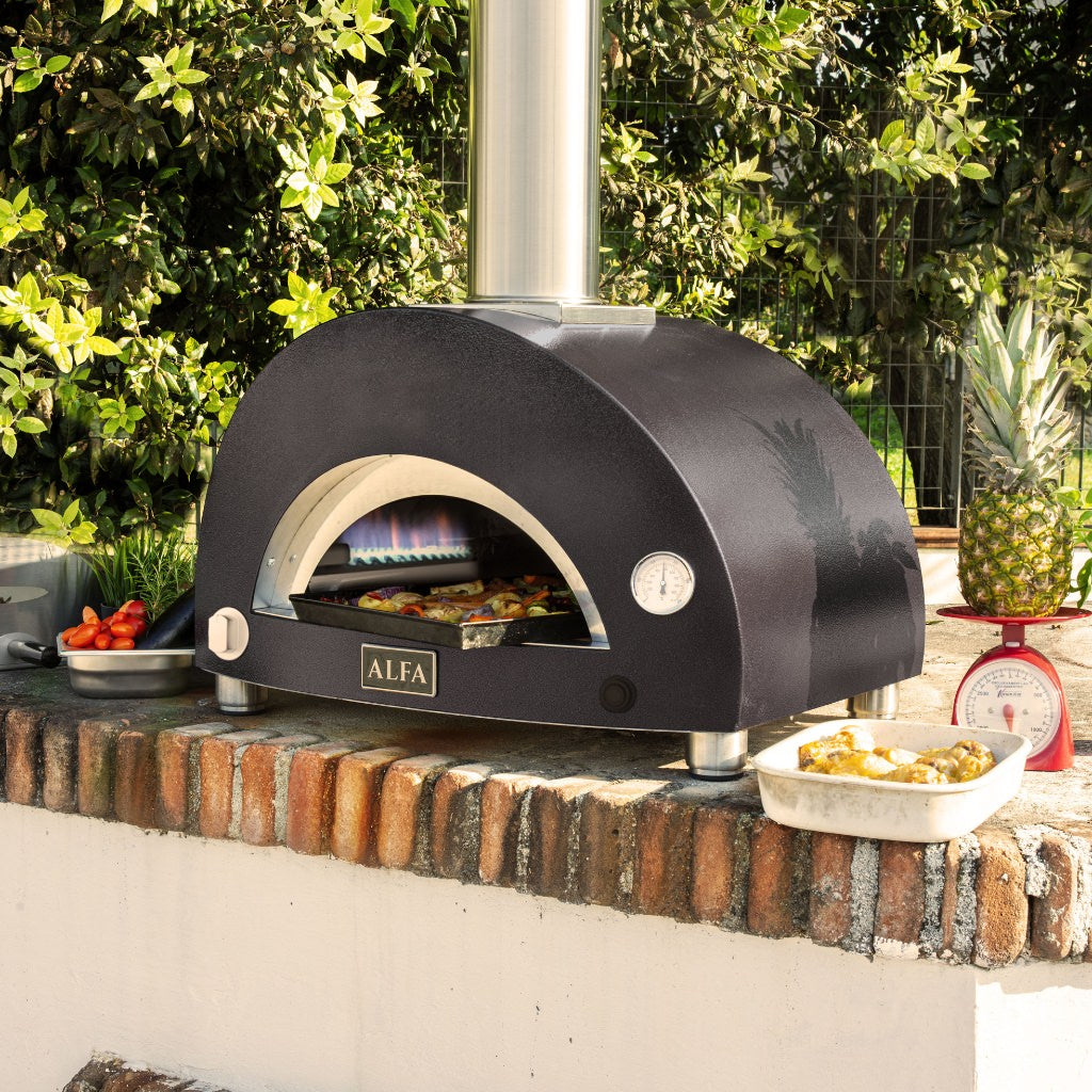 Alfa Moderno 1 Pizza Gas Oven